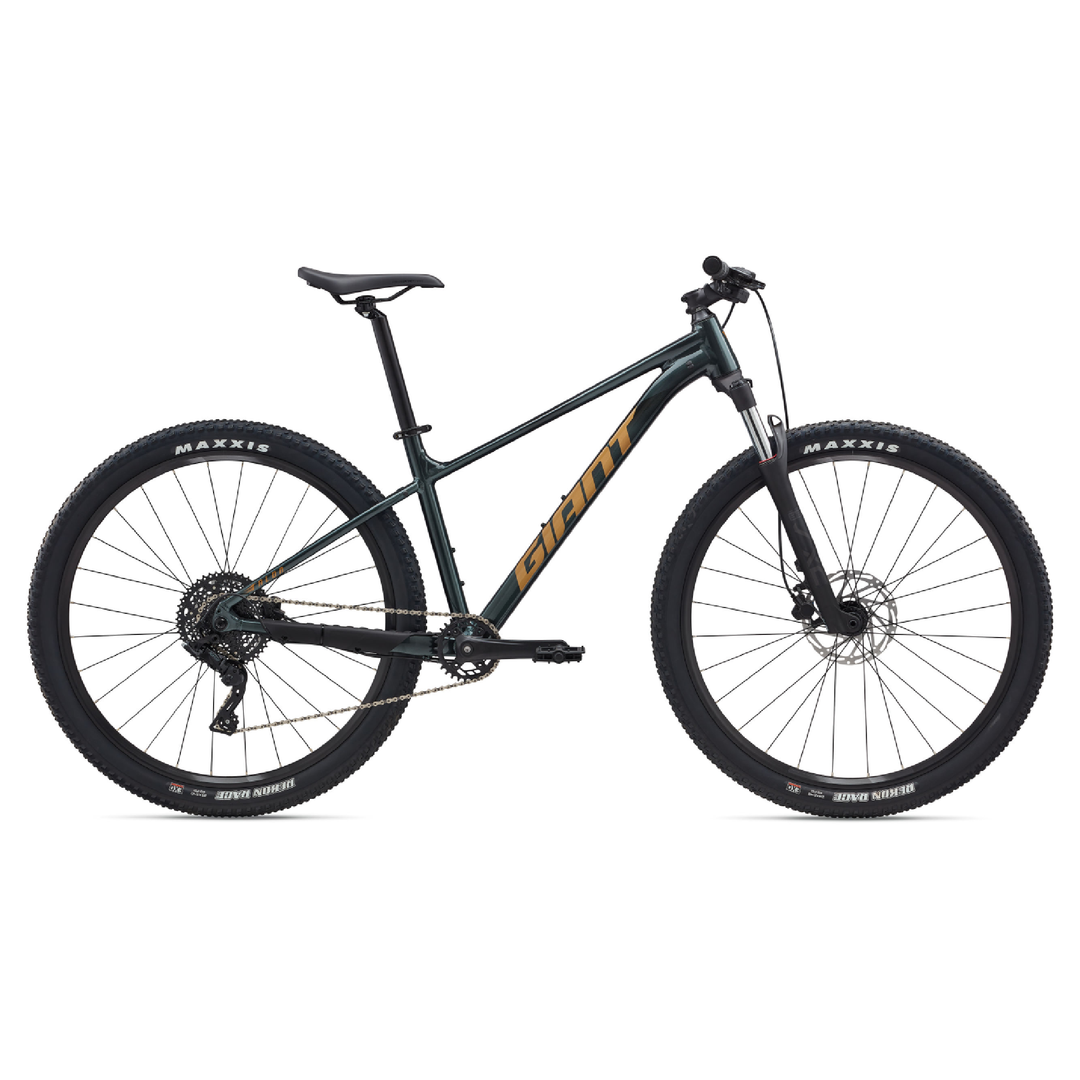 Giant Talon 2 - Asphalt Green