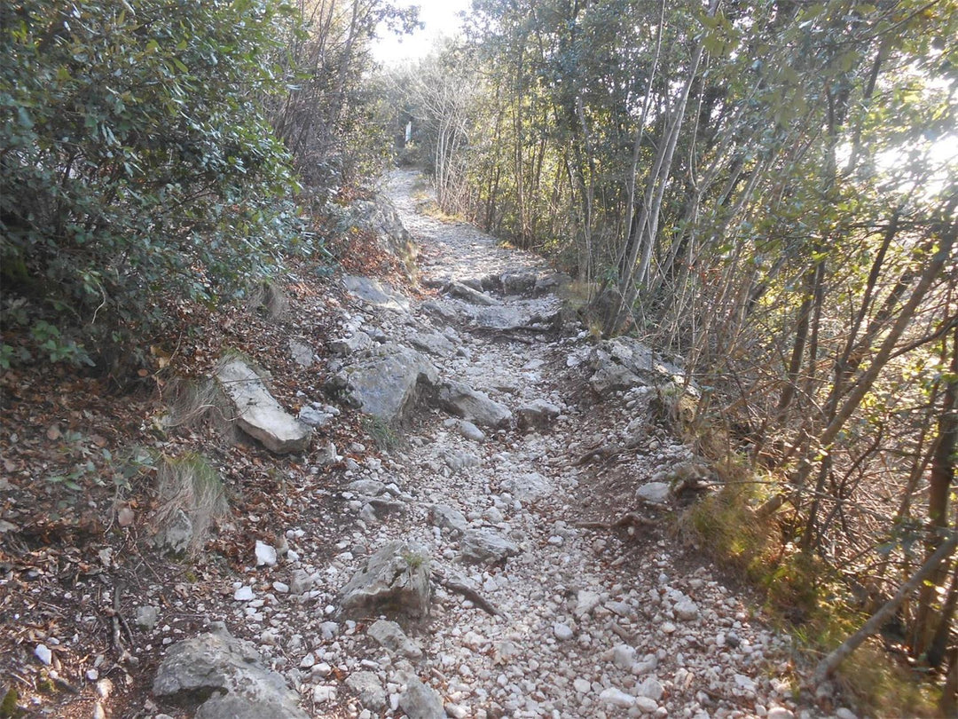 mixed MTB