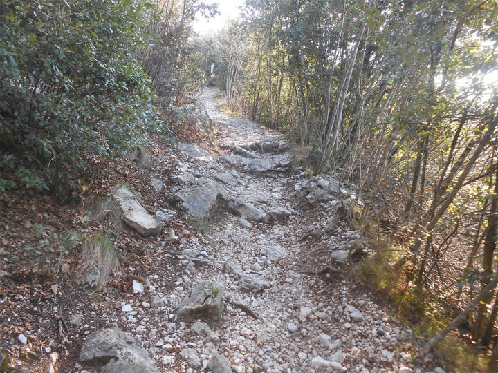 mixed MTB